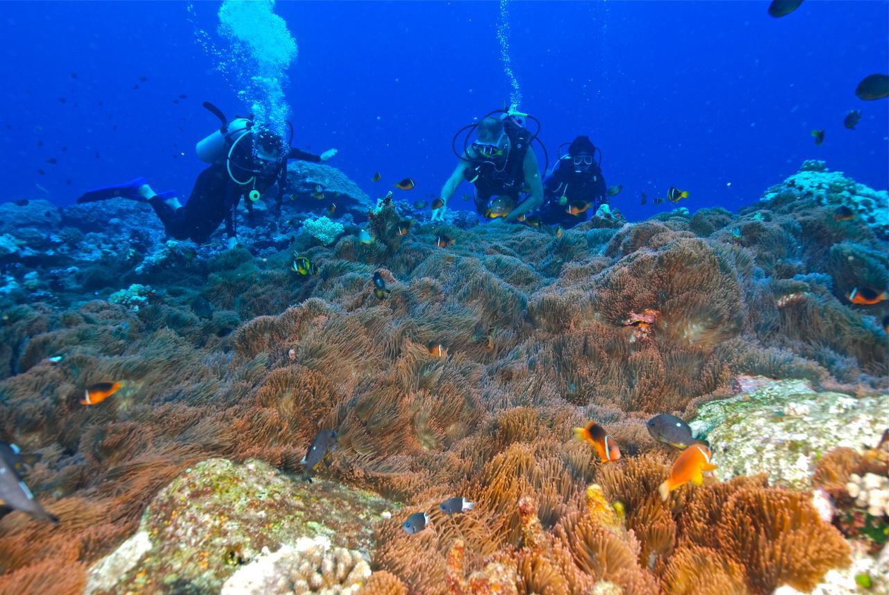 Reef Resort Vava'U Utungake Zewnętrze zdjęcie